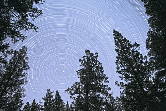 Star Trails in Lincoln National Forest